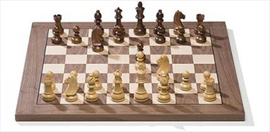 DGT FIDE Schachweltmeisterschaft 2016 Set