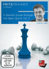 A Gambit Guide Through the Open Game Vol. 2