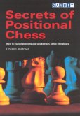 Secrets Of Positional Chess